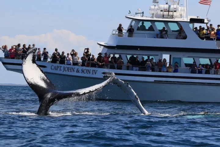a group of people riding on the back of a boat in the water