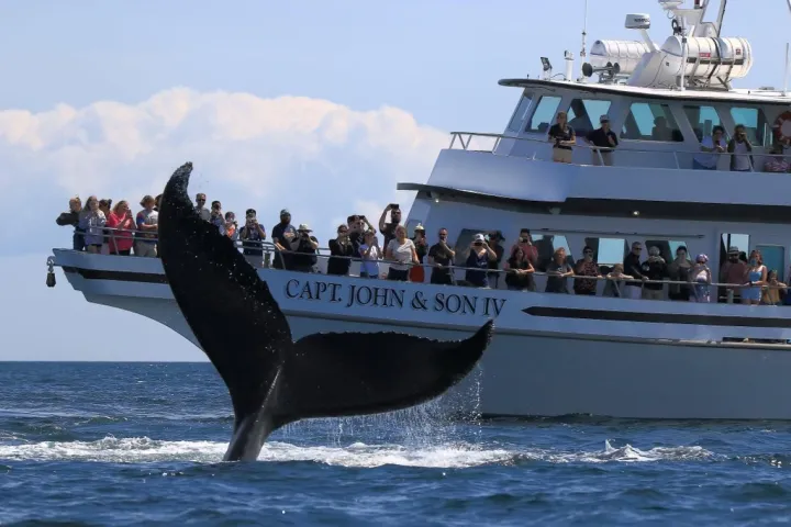 a group of people on a boat in the water