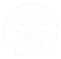 Trip Advisor Excellence Badge