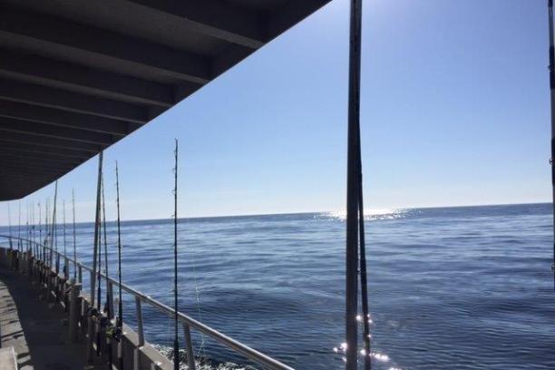 a bridge over a body of water