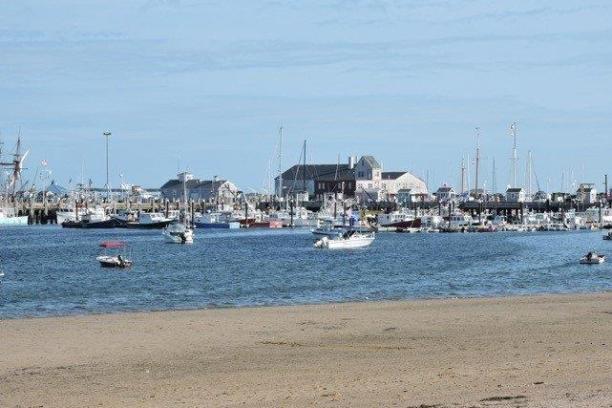 a group of people on a beach near a body of water