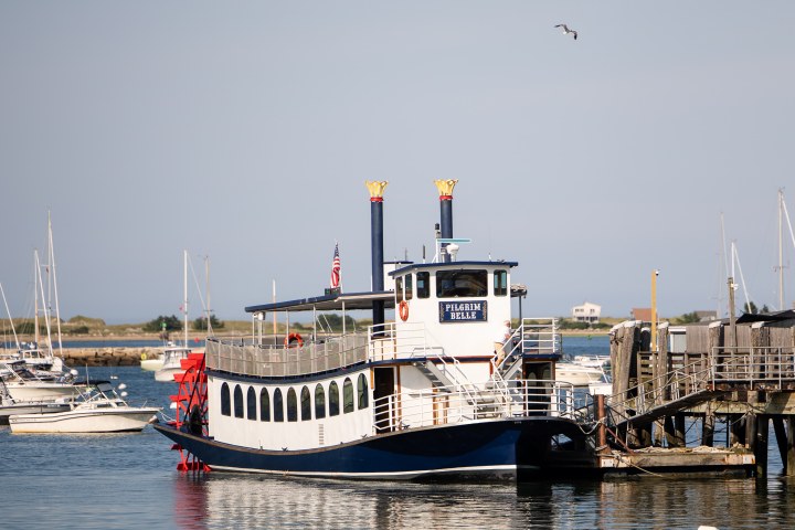 A paddlewheel boat docked at a marina with sailboats and a clear sky.